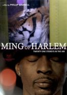 Ming of Harlem: Twenty One Storeys in the Air (2014)